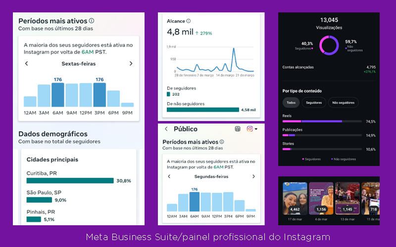 dados do meta business suite e painel profissional do instagram